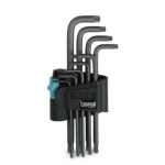 

Комплект изогнутых гаечных ключей Torx Phoenix Contact SF-LTX SET 1200162